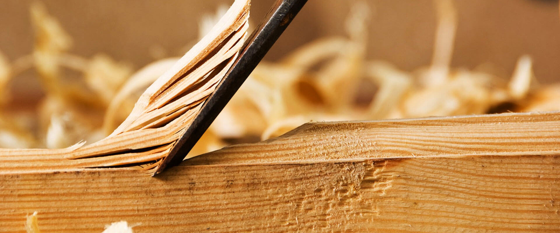 Dealing with Termite Risks in Timber Framing